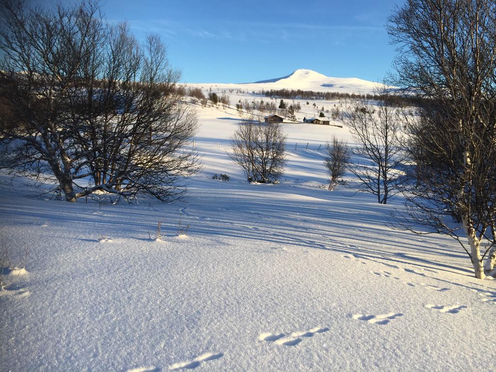 Putten Seter Hovringen Luaran gambar