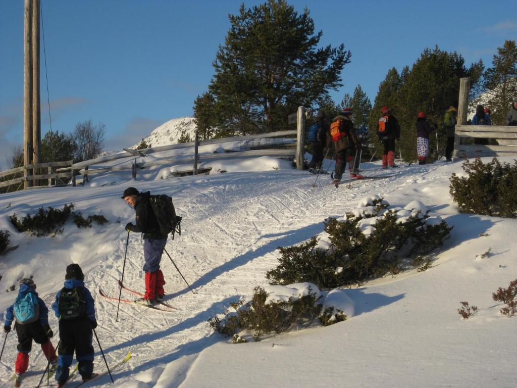 Putten Seter Hovringen Luaran gambar
